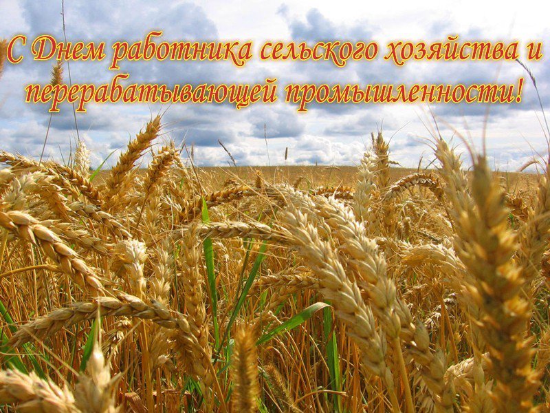 Поздравления С Днем Сельского Хозяйства В Казахстане